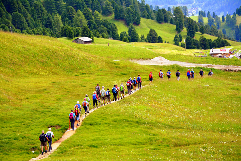 Wycieczki trekkingowe