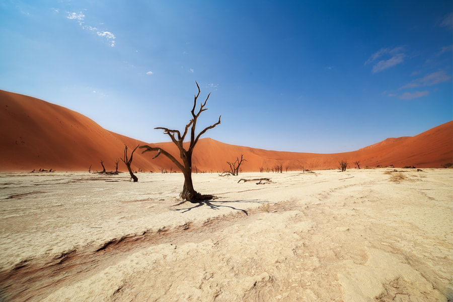 Namibia - fotograficzna kraina marzeń
