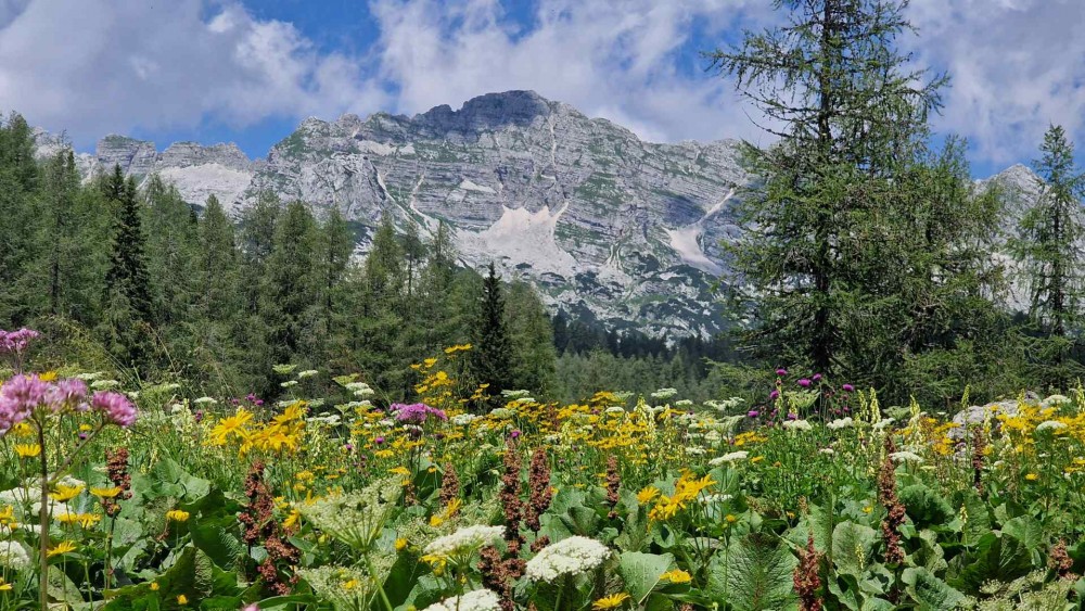 Słowenia. Alpy Julijskie