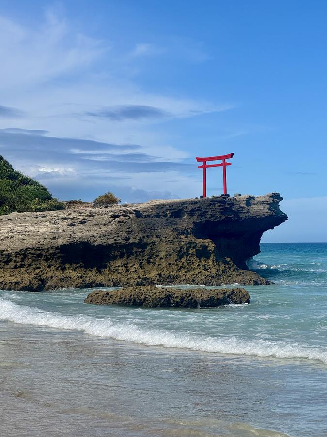 Japonia Brzask. Ze śnieżnych gór, prosto w rozkwit sakury, dla KOBIET