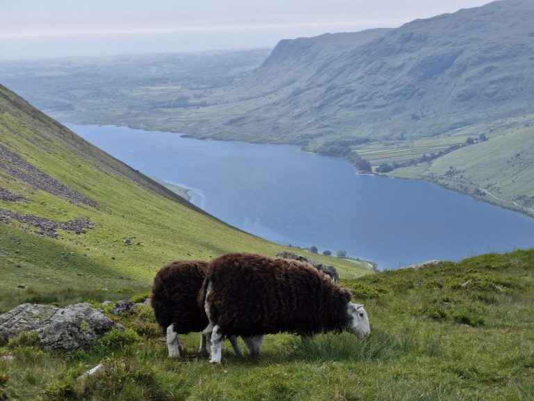 Korona Wielkiej Brytanii