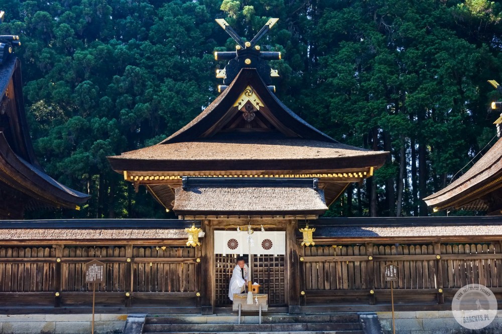 Wycieczka do Japonii: trekkingi i zwiedzanie od Kioto po Tokio