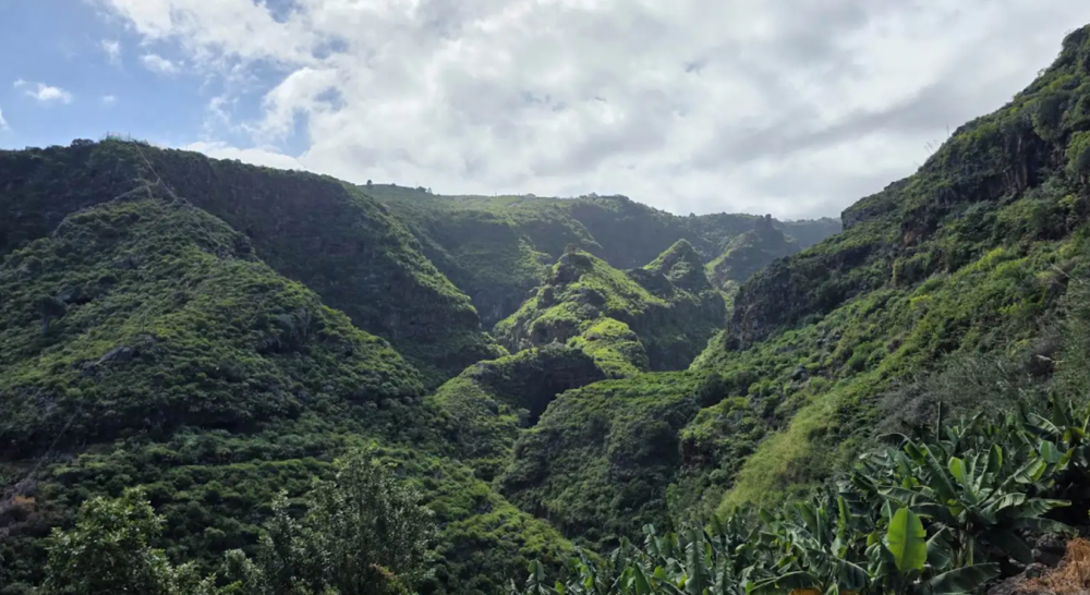La Palma - trekking