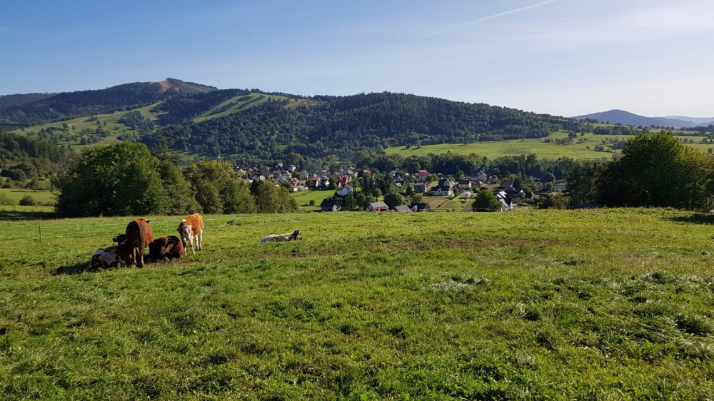 Weekend z Jogą i Pilatesem – Listopad 2026