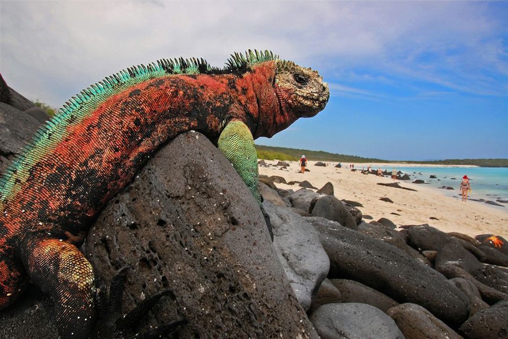 Galapagos - środek świata