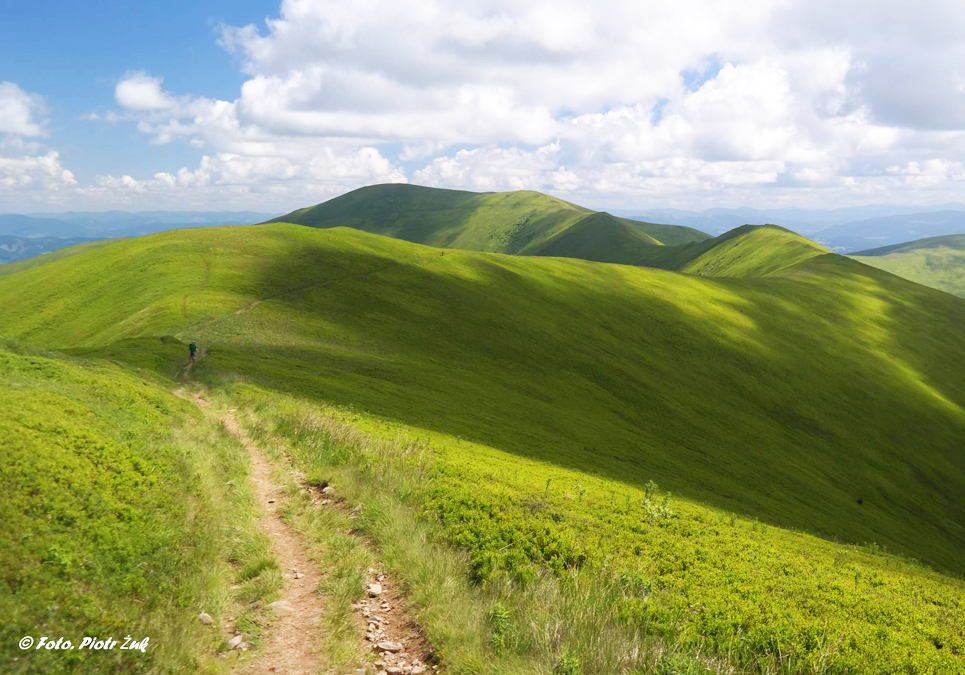 Karpaty Ukraińskie