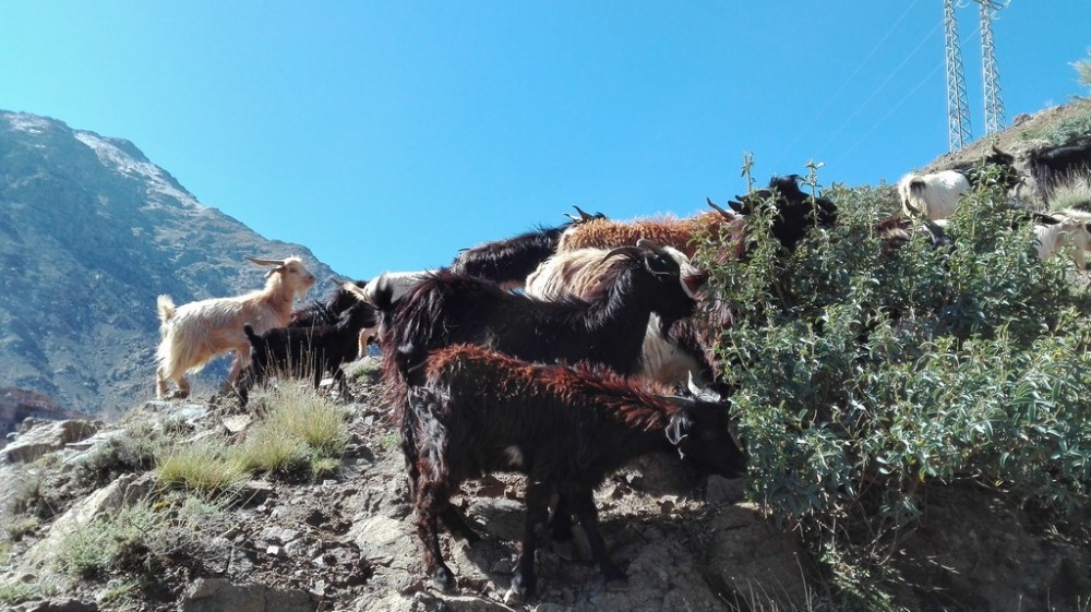 Atlas Wysoki - Toubkal, Marrakesz