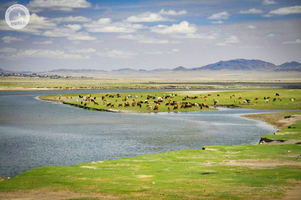 Wyprawa do Mongolii: przez mongolski step i pustynię