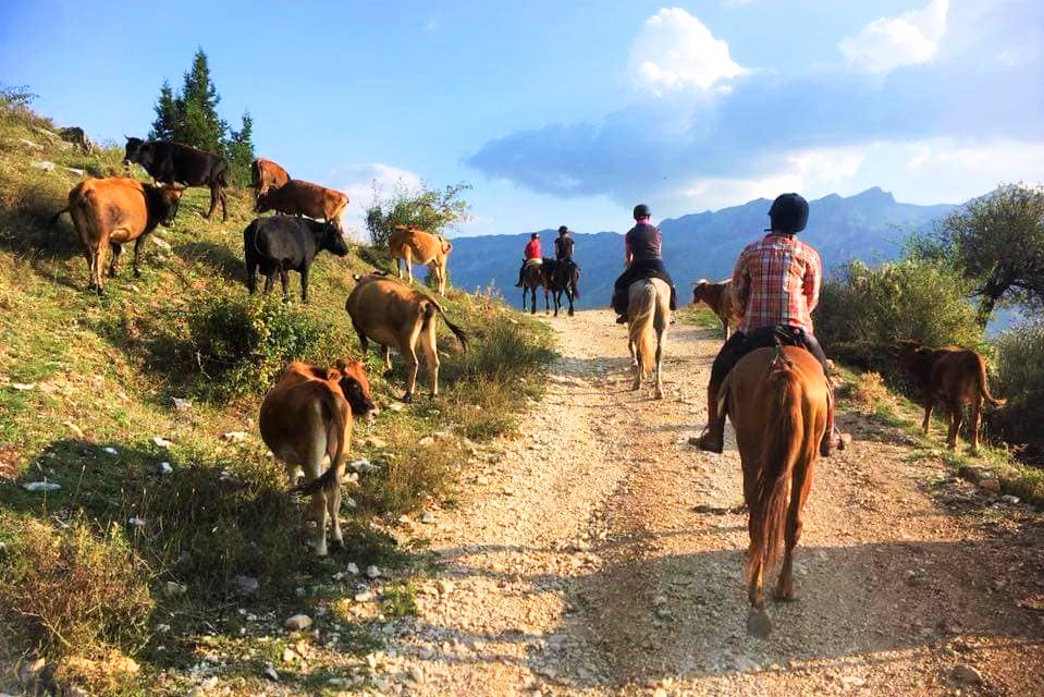 Szlak iliryjski - Albania