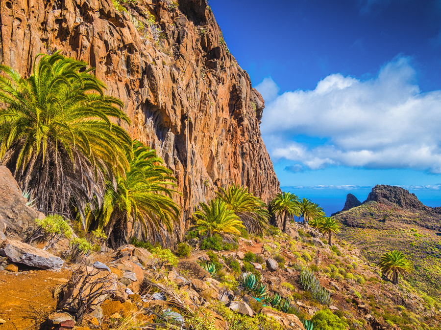La Palma - Zielona Wyspa Wulkanów
