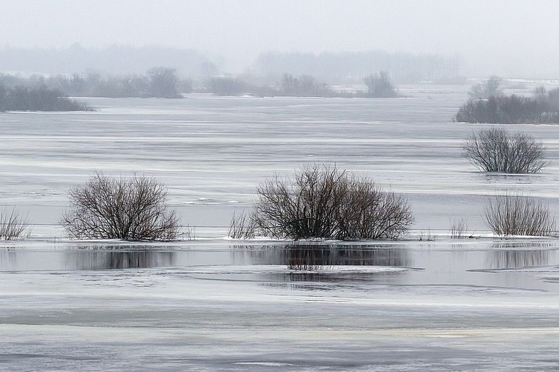 Przedwiośnie nad rozlewiskiem