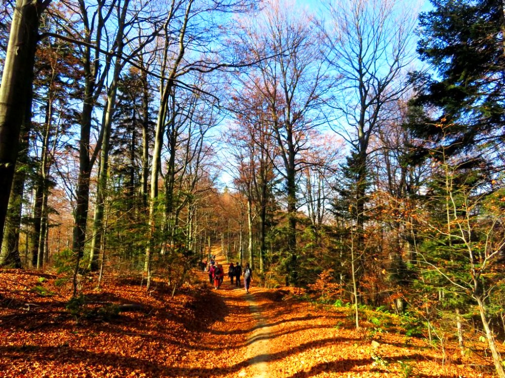 Węgierski Kras, Góry Bukowe i Matrai