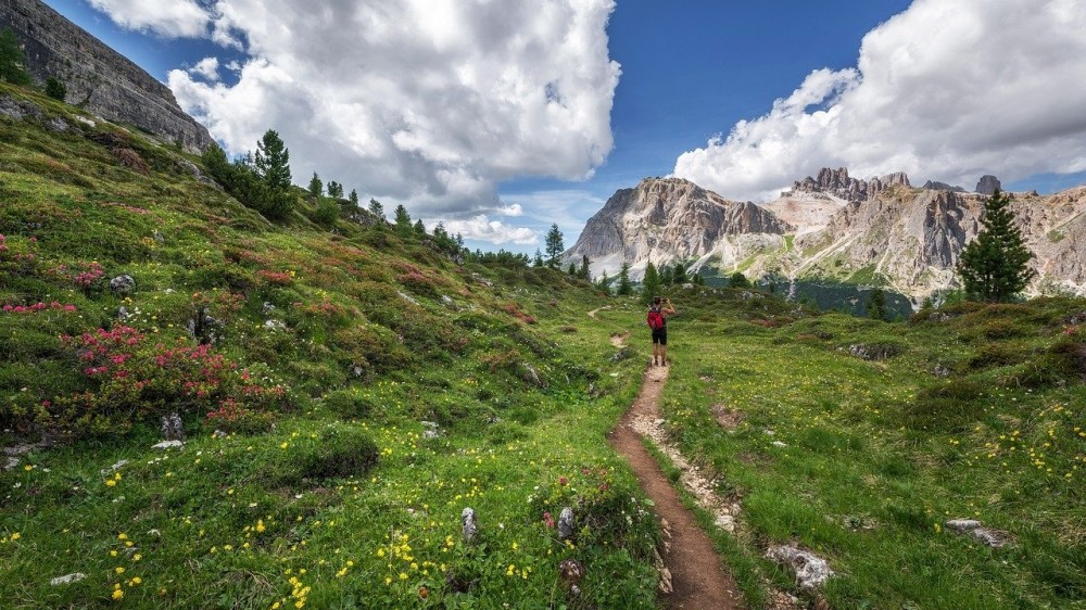 Dolomity Brenta, Adamello, Stelvio, Dolomity Catinaccio