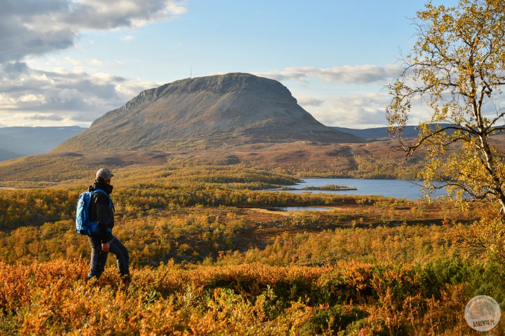 Finlandia: trekking na Halti przez jesienną tundrę Laponii