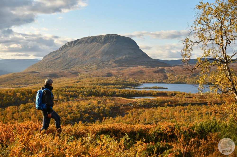 Finlandia: trekking przez jesienną tundrę Laponii