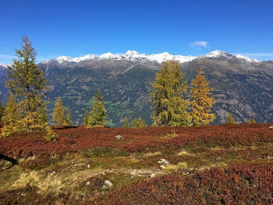 Alpejska jesień w Karyntii