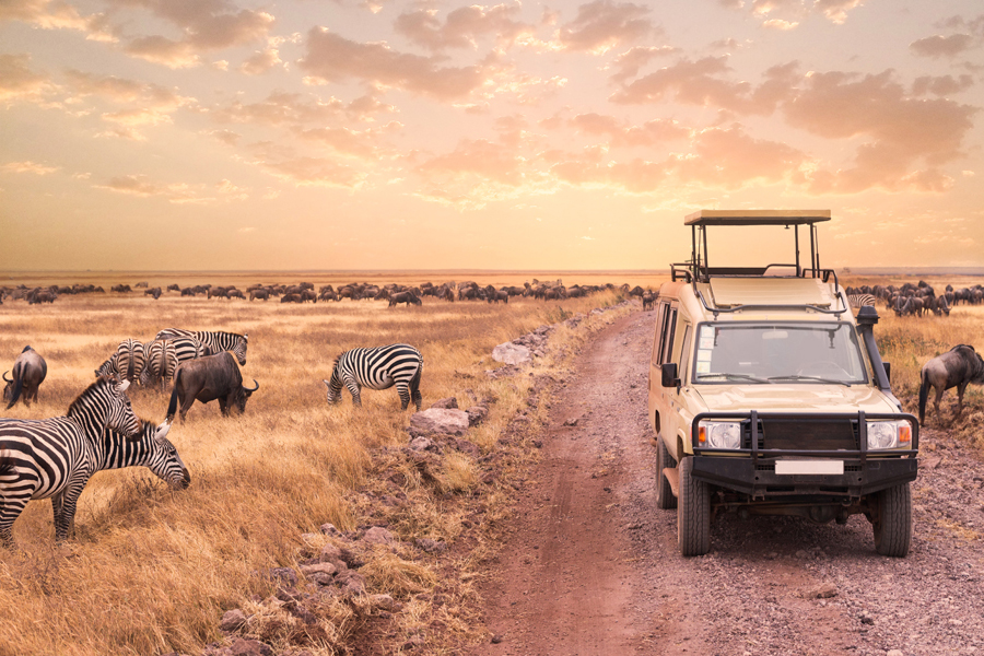 Namibia - w stronę słońca