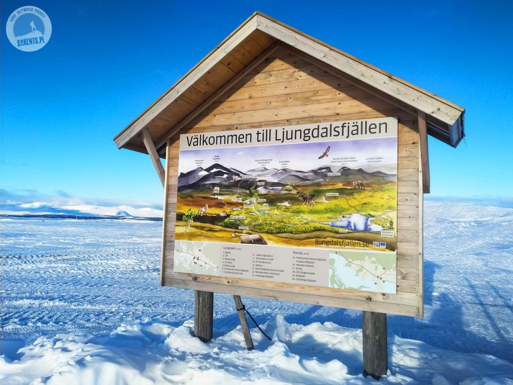 Szwecja: na biegówkach w Dolinie Ljungdalen