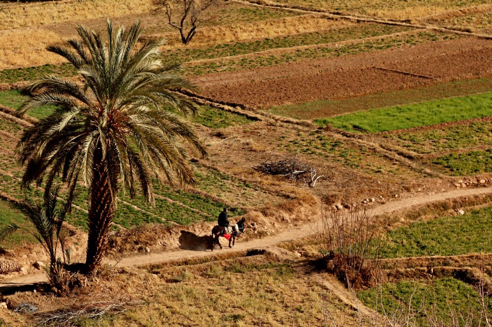 Maroko - przyroda Maghrebu