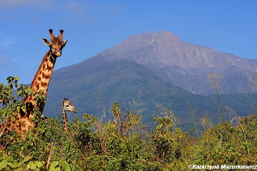 Na dachu Afryki - Kilimandżaro i Mount Meru