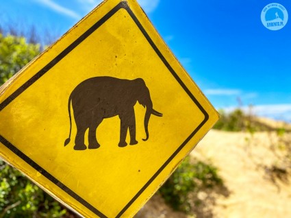 Aktywna Sri Lanka: Budda, herbata i słonie