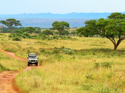 Uganda i Rwanda - w królestwie zwierząt