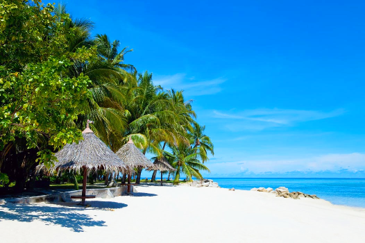 Borneo, nurkowanie na Sipadan i Mabul