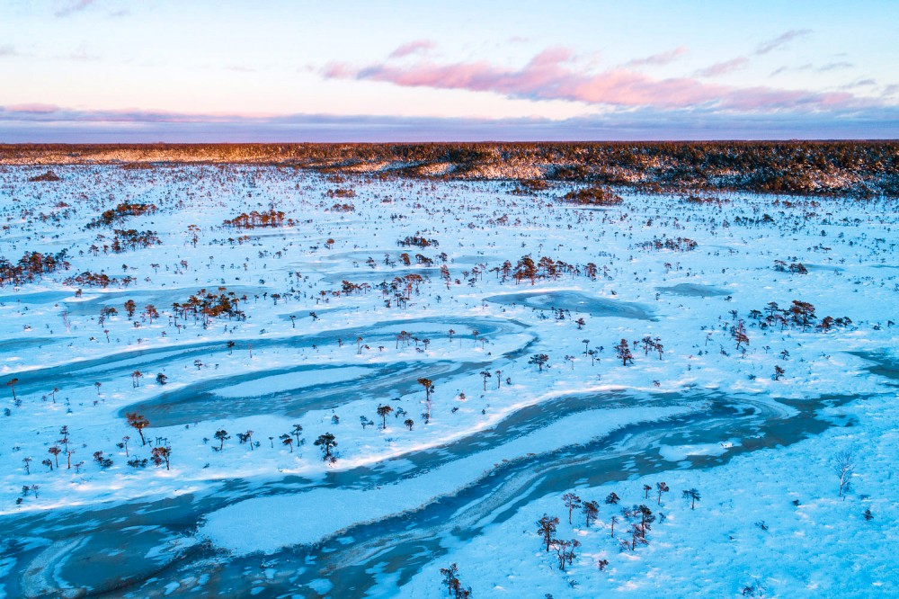 Sylwester w Estonii: Park Narodowy Soomaa, Tallinn i Tartu