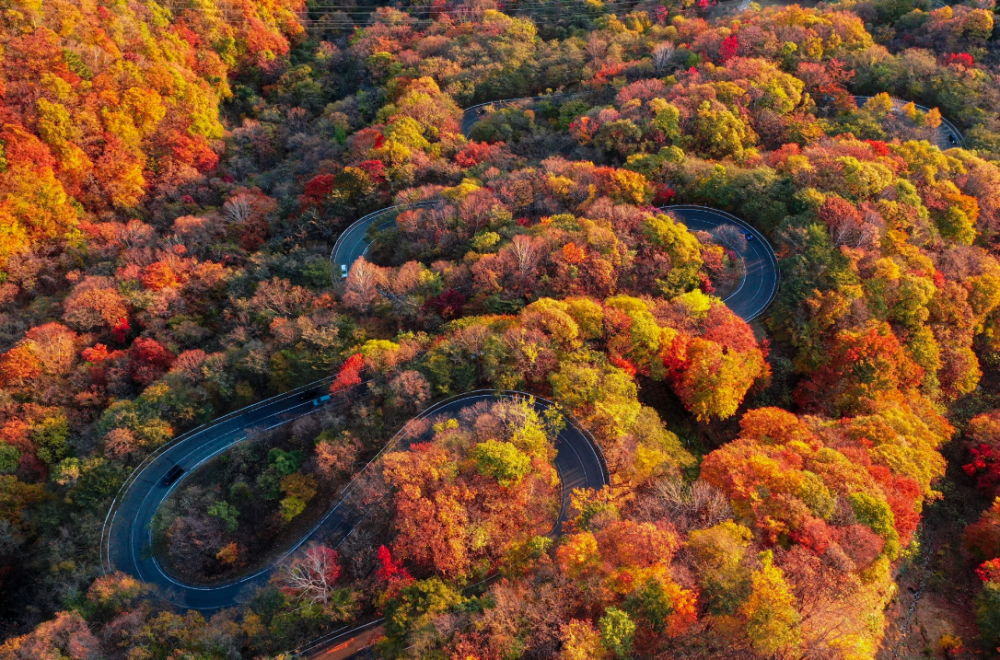 Japonia Ogień. Jesienny roadtrip dla KOBIET, który żyje i pulsuje
