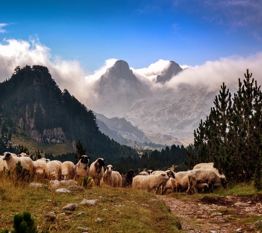 Bośnia i Hercegowina – Trekking w sercu Bałkanów