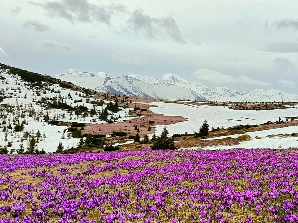 Górska Majówka w Rumunii na lekko