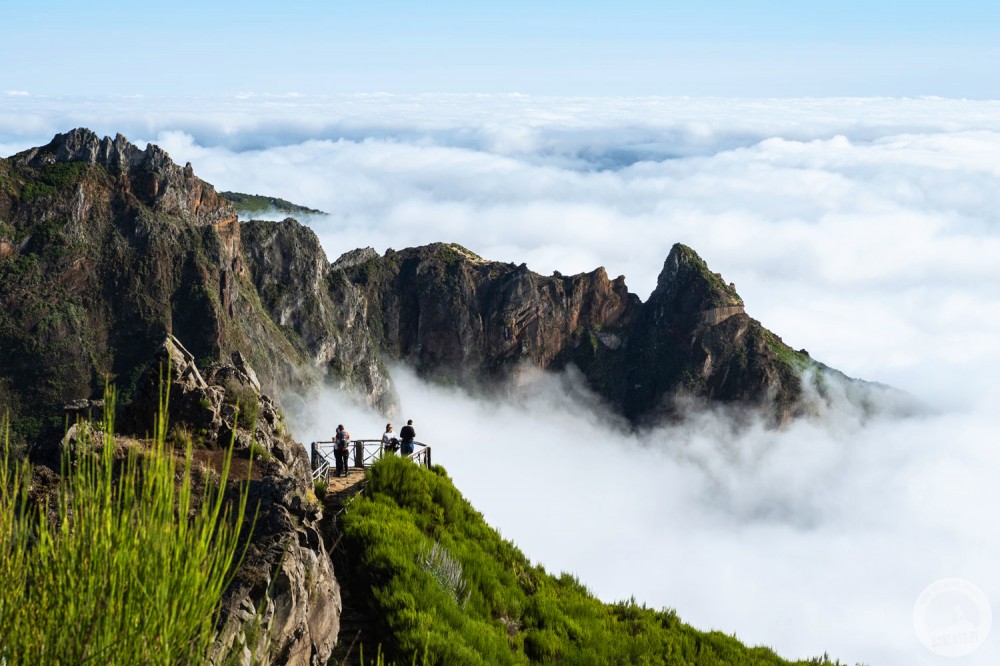 Sylwester na Maderze: spacery lewadami