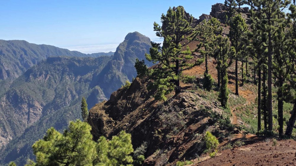 La Palma - trekking