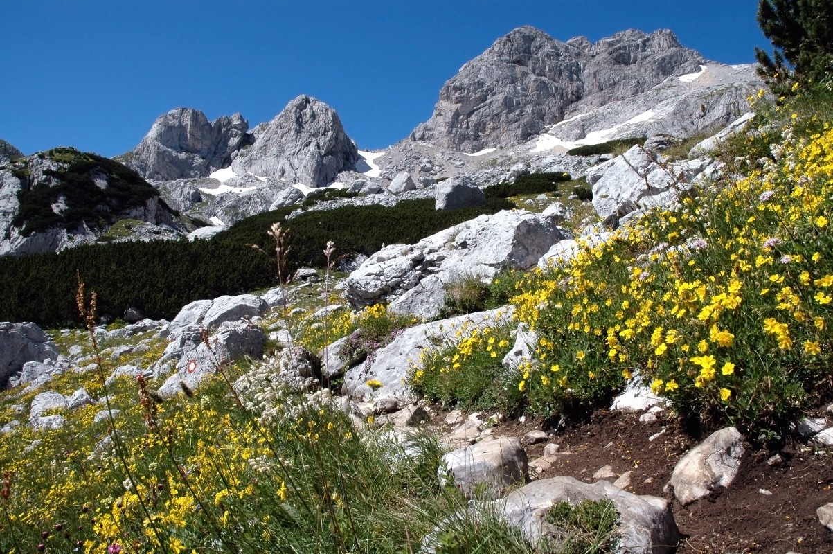 Trekking w Górach Dynarskich - Park Narodowy Durmitor