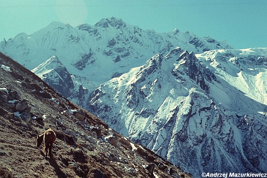 Langtang i Helambu