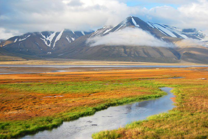 Spitsbergen – Trekking Przez Tundrę w Arktyce