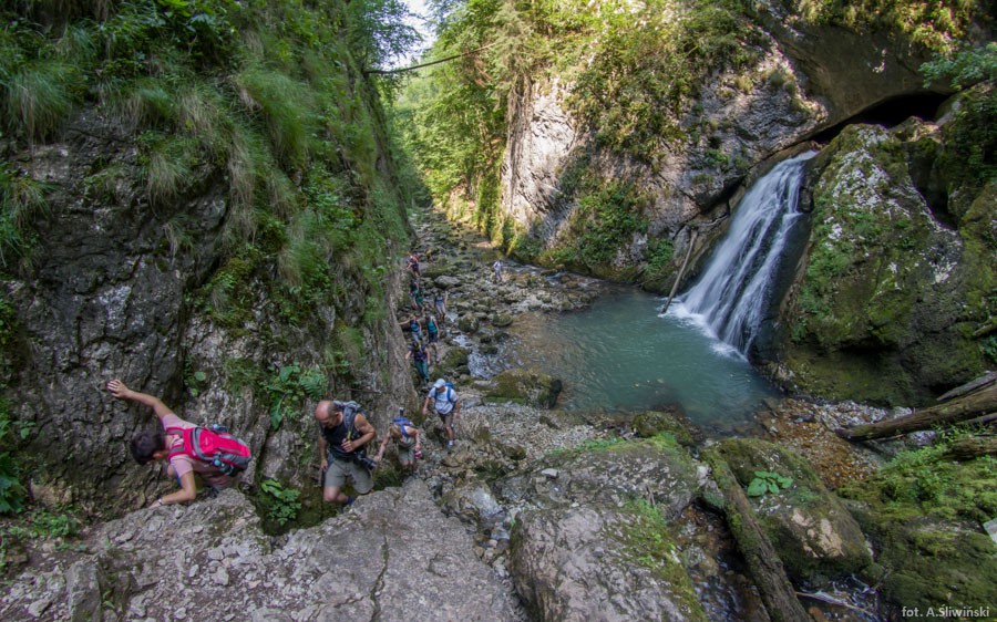 Trekking Karpatach Rumuńskich - Apuseni & Padis